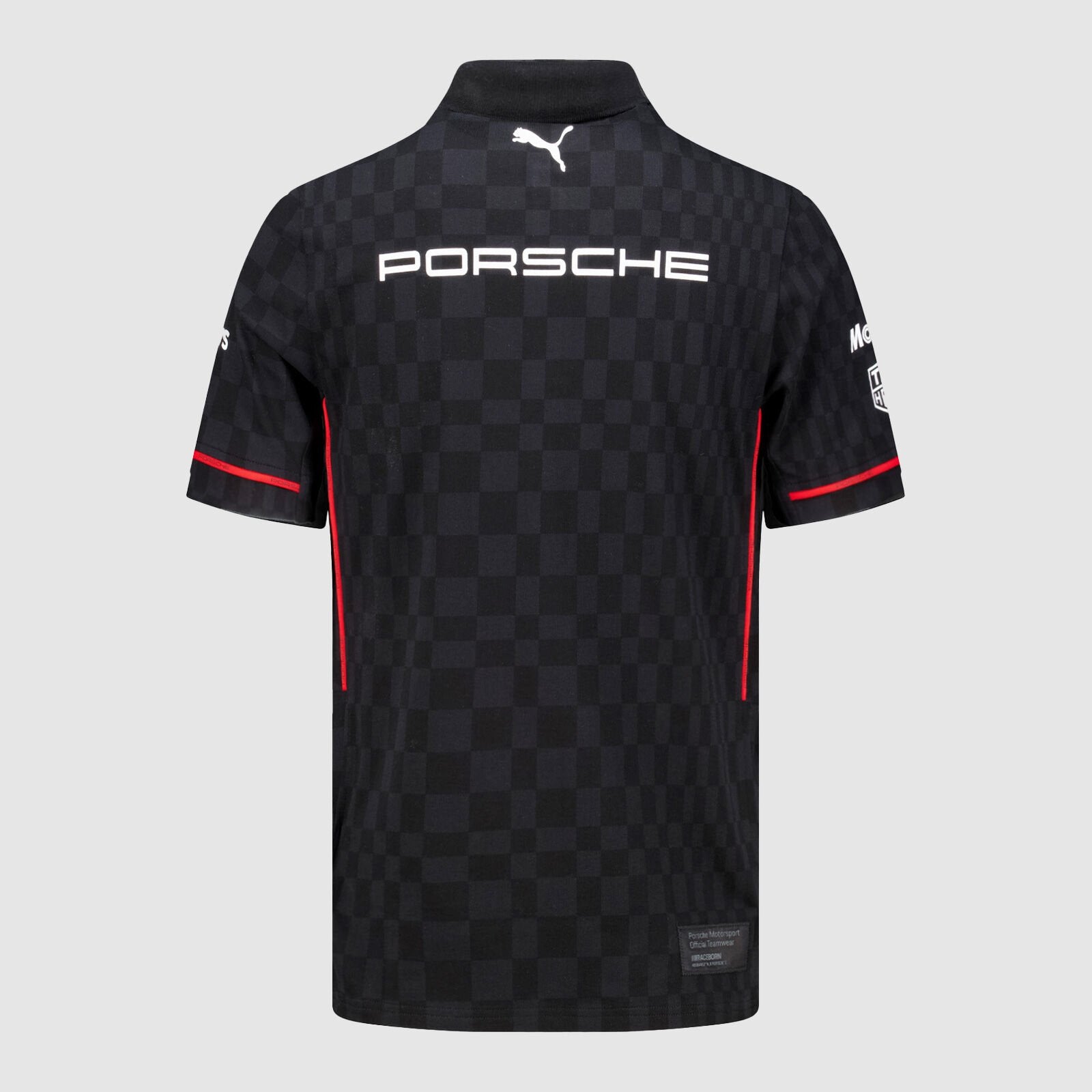 Porsche Motorsport Team Polo
