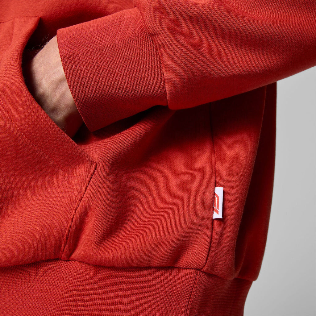 F1 Collection Heritage Graphic Hoodie