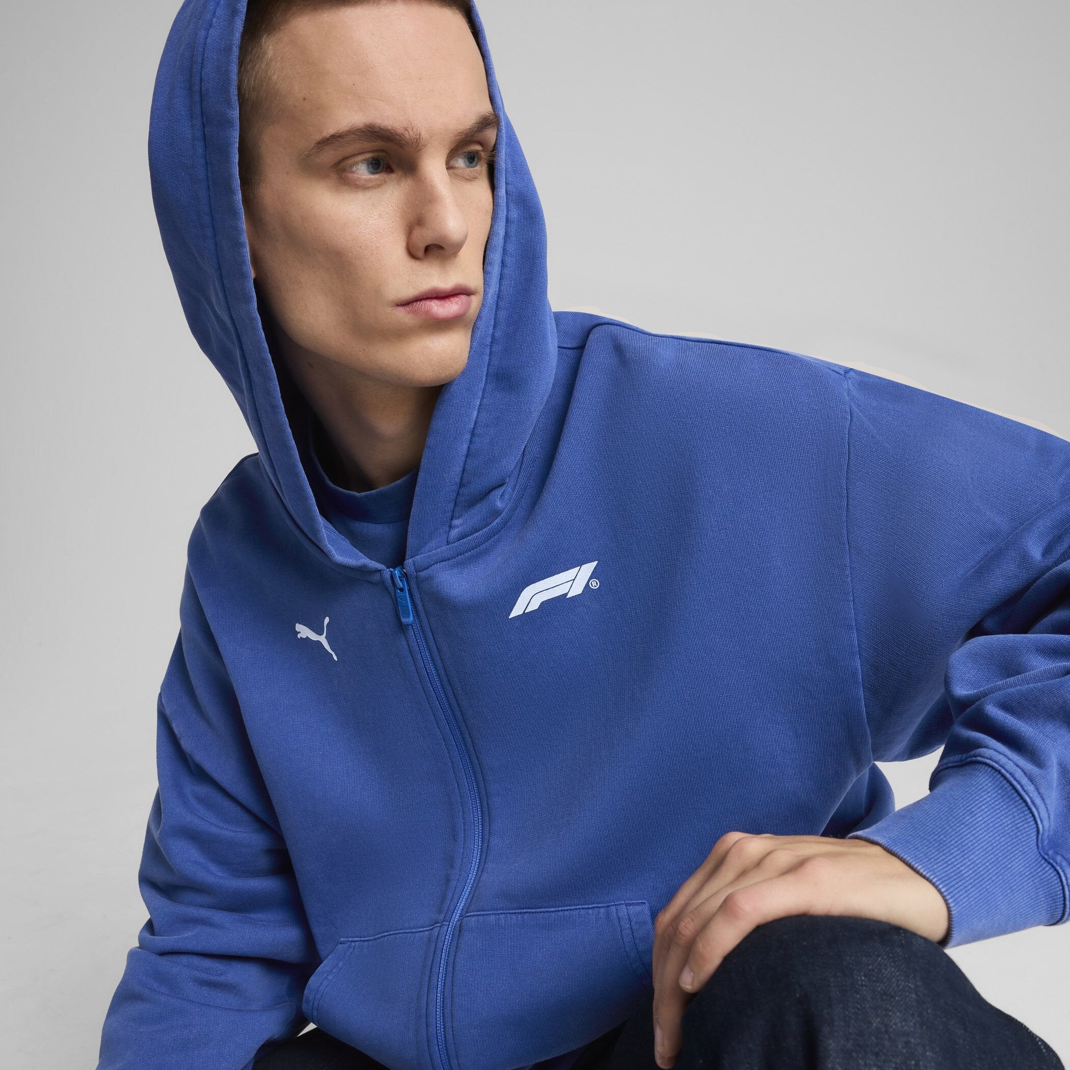 F1 Collection PUMA F1® LS Graphic Zip Hoodie