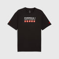 F1 Collection PUMA F1® DTS Relaxed Graphic T-shirt