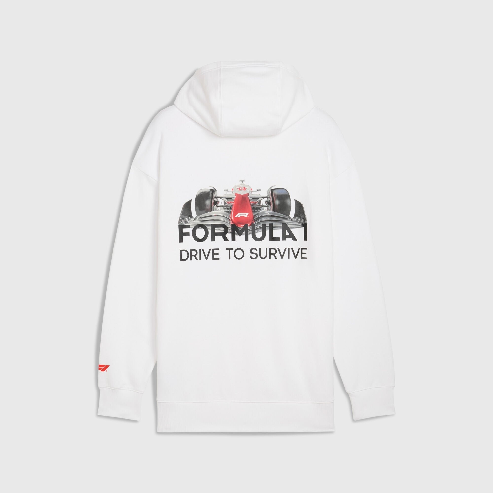F1 Collection PUMA F1® DTS Relaxed Hoodie