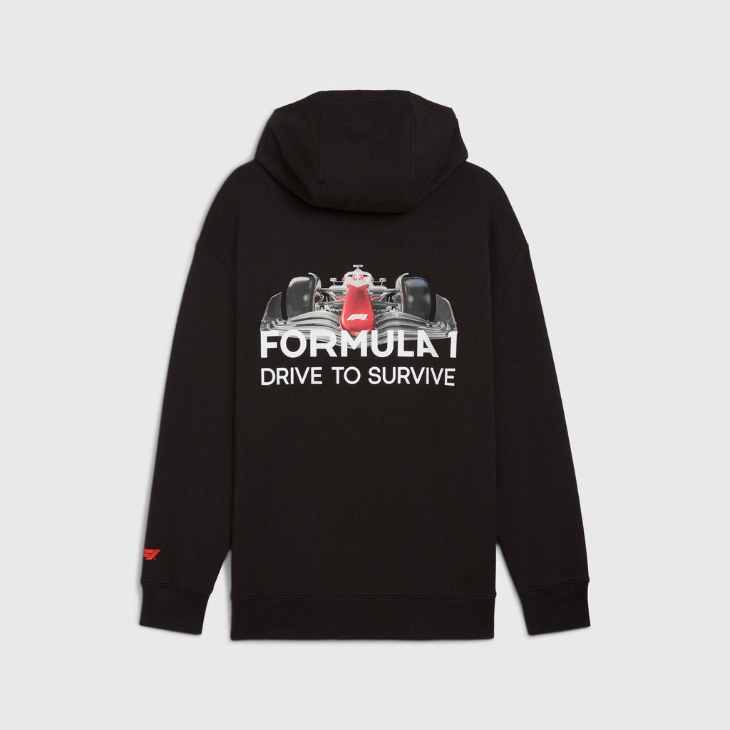 F1 Collection PUMA F1® DTS Relaxed Hoodie