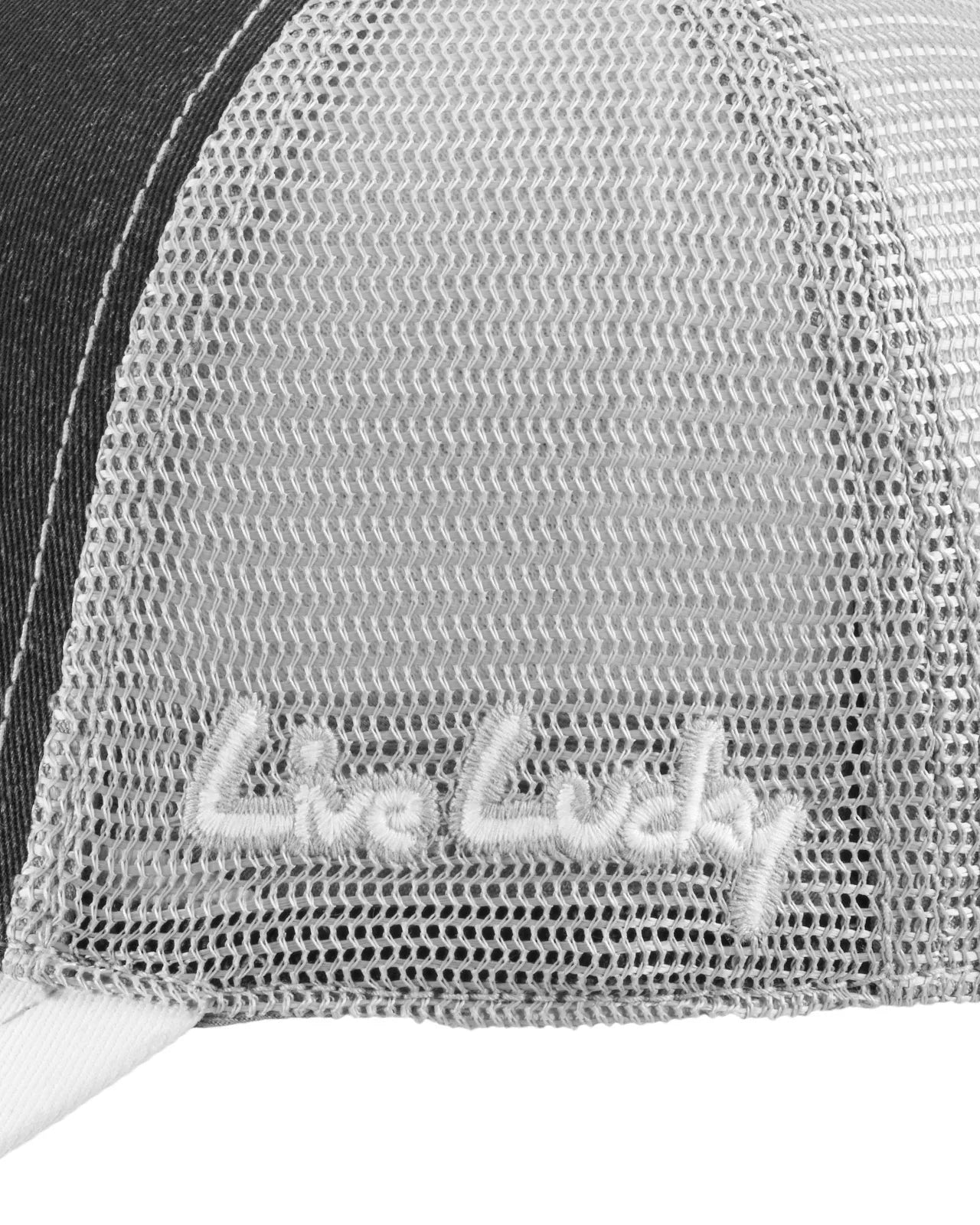 BLACK CLOVER Two Tone Vintage 21 - Cap On